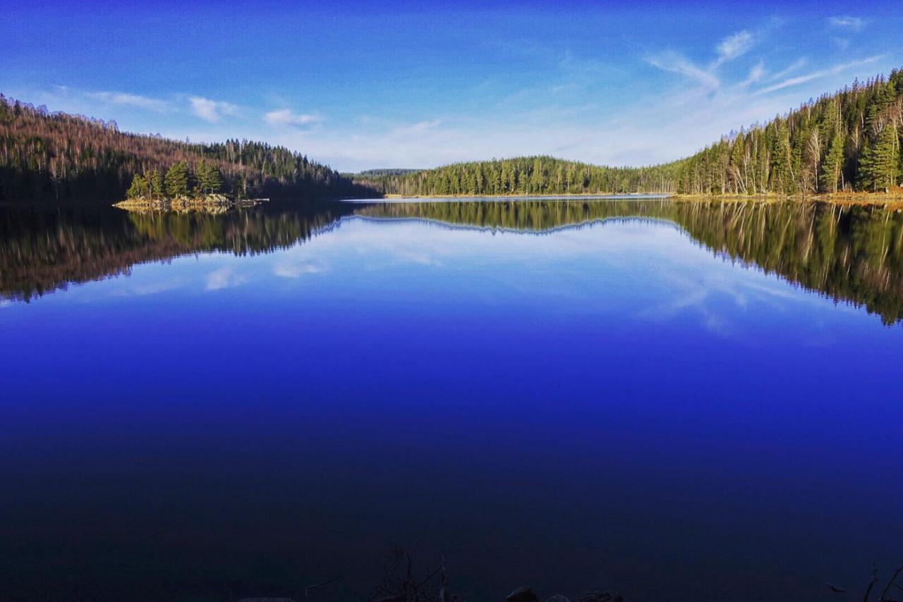 Nordic Refuge B&B Froskog Экстерьер фото